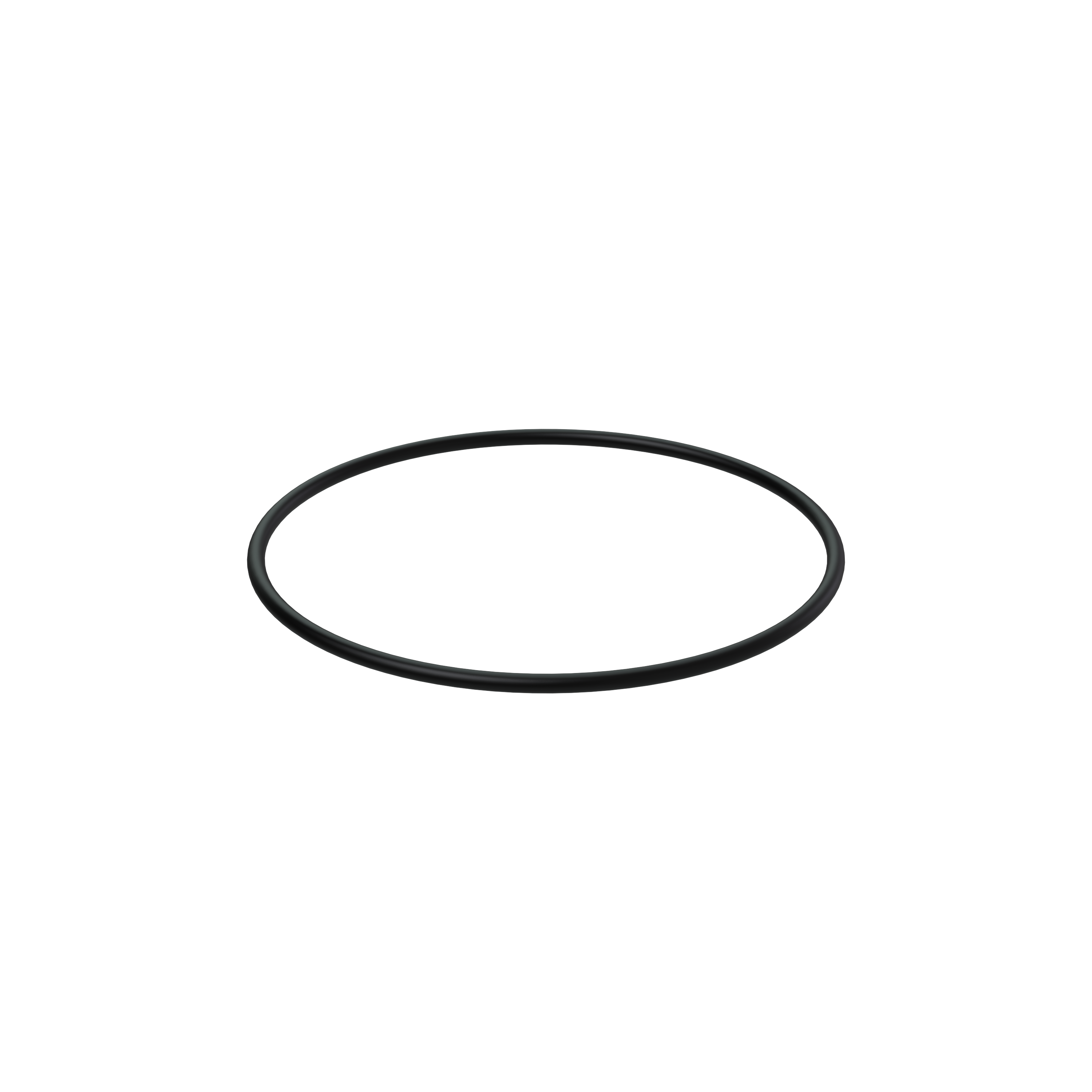 O-ring