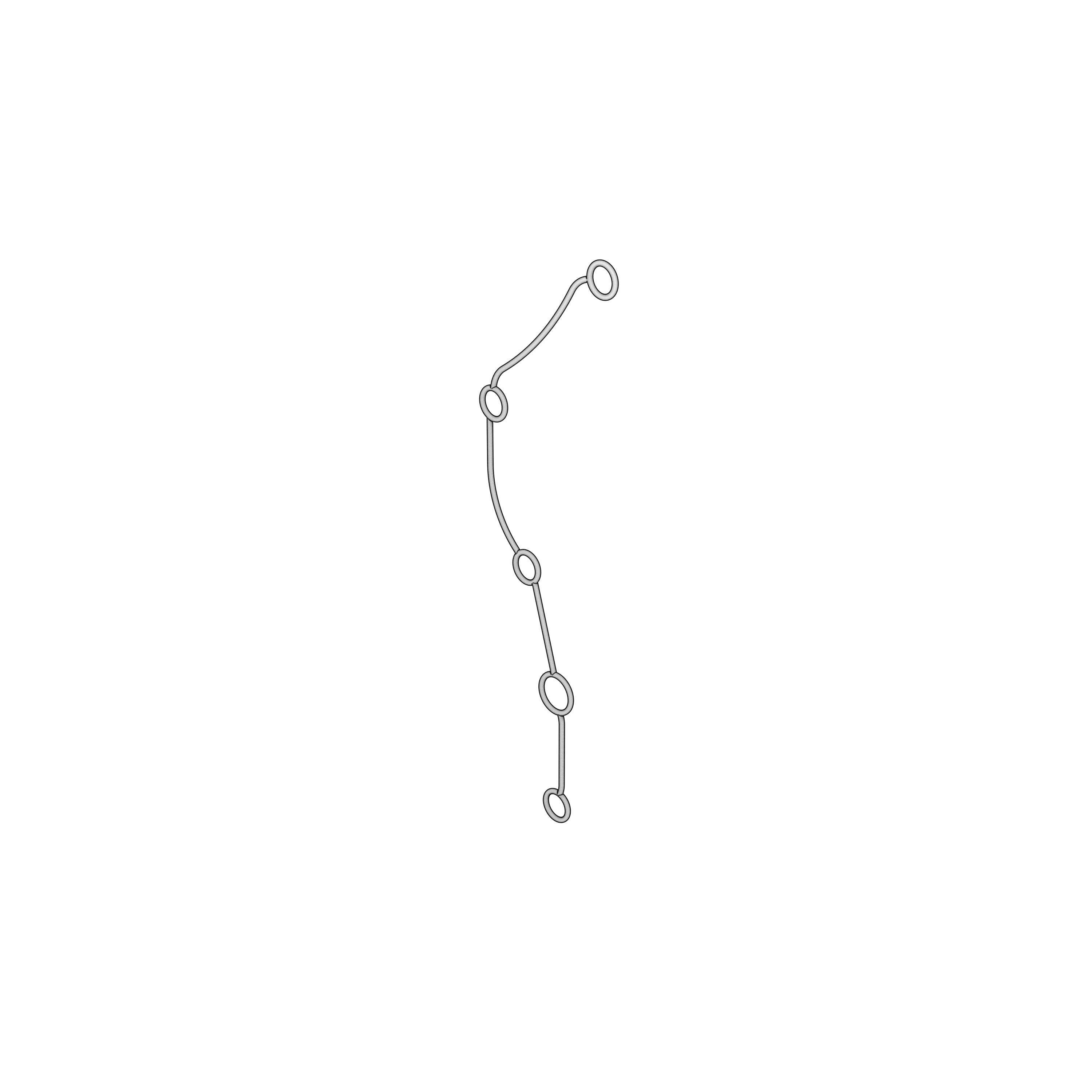 seal
