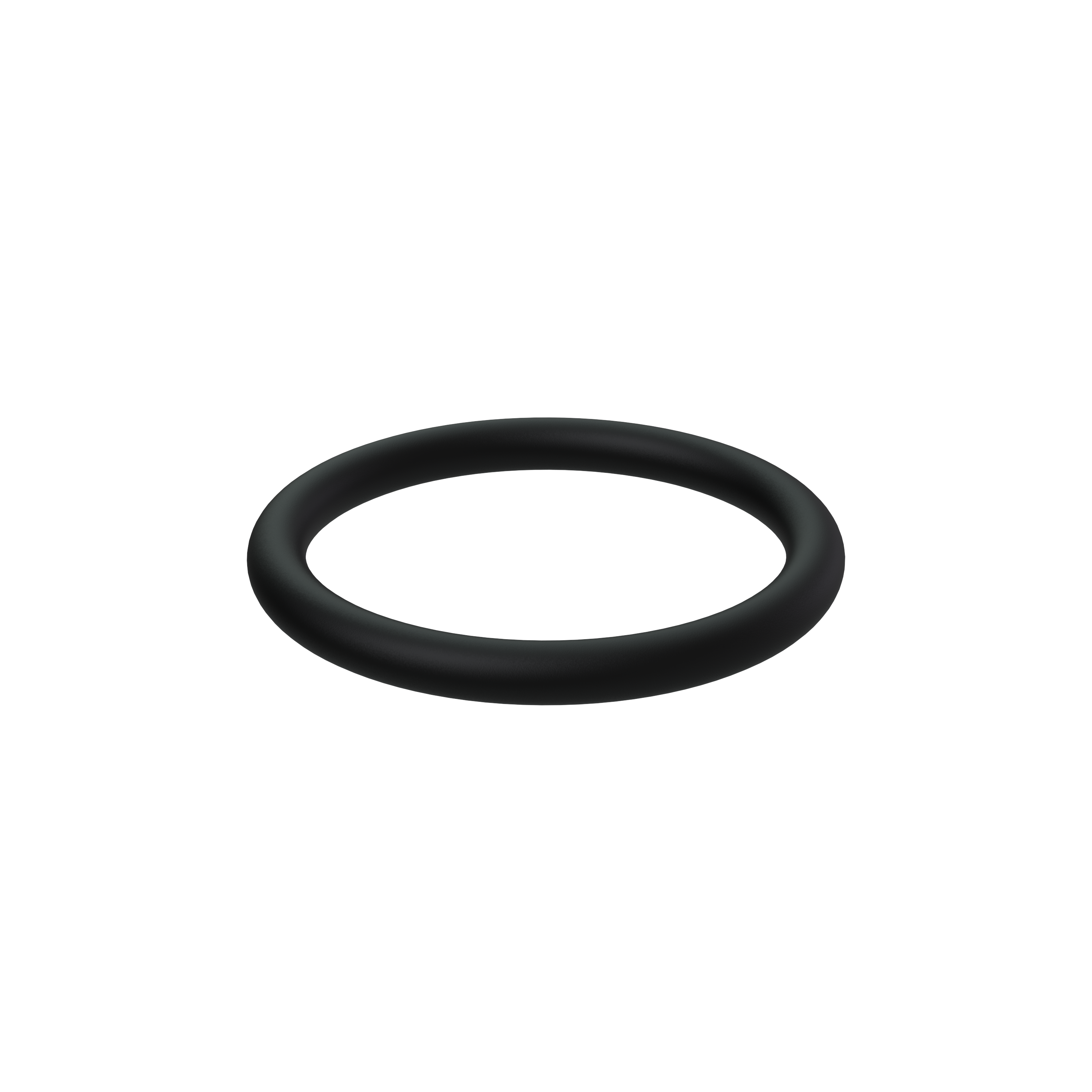 O-ring