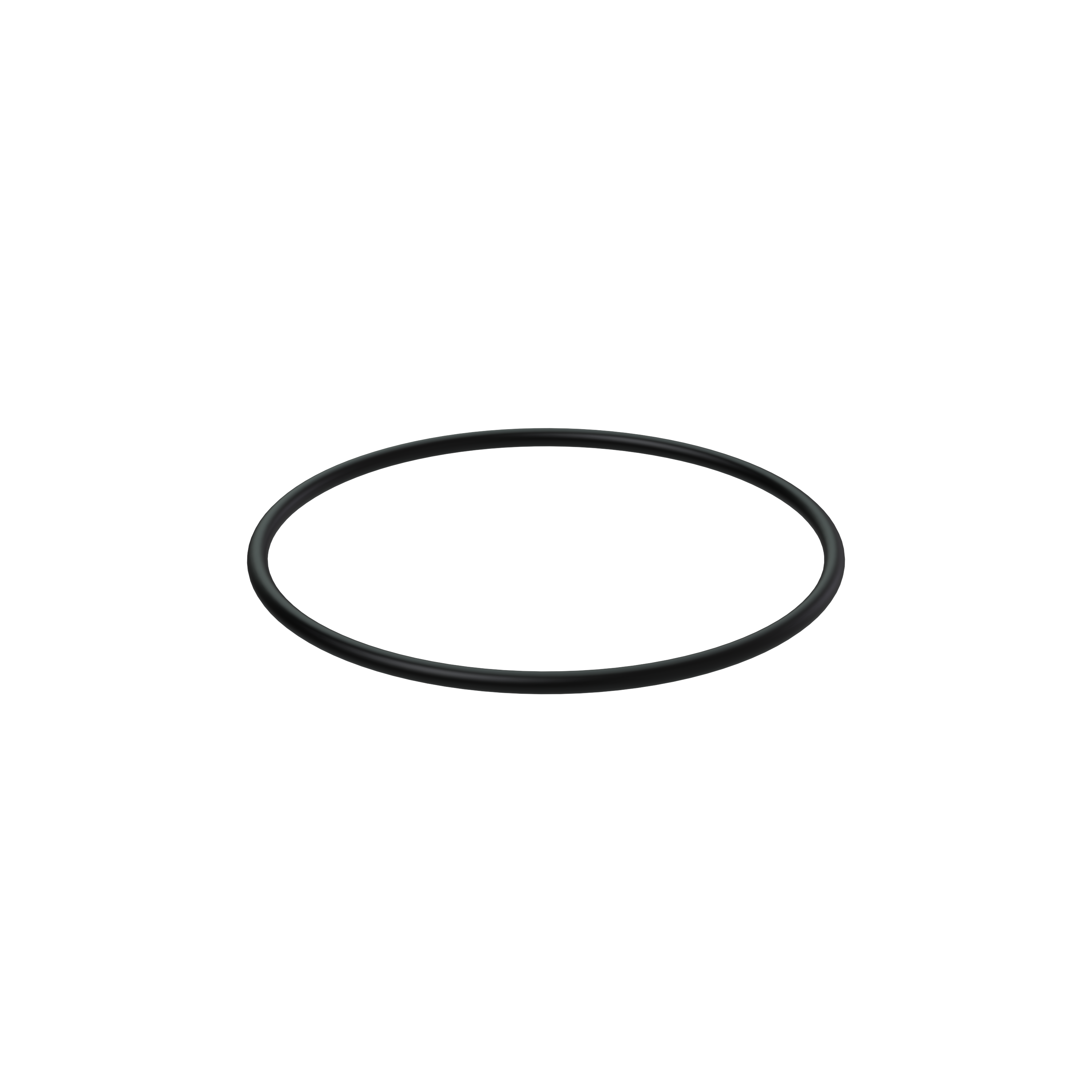 O-ring