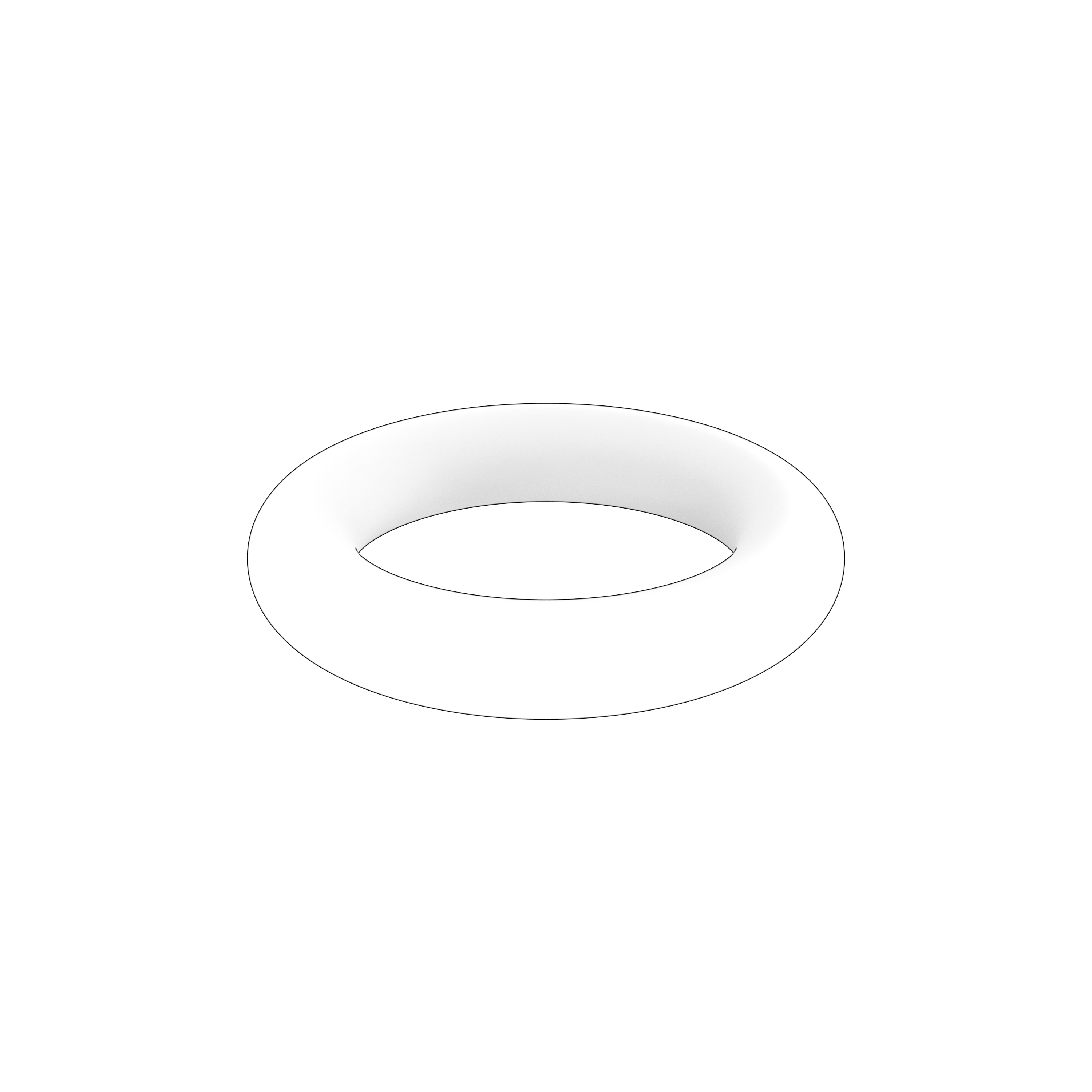 O-ring